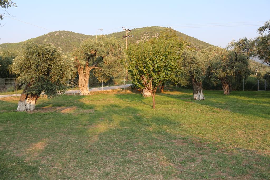 Patroudis House Appartement Skala Rachoni  Buitenkant foto
