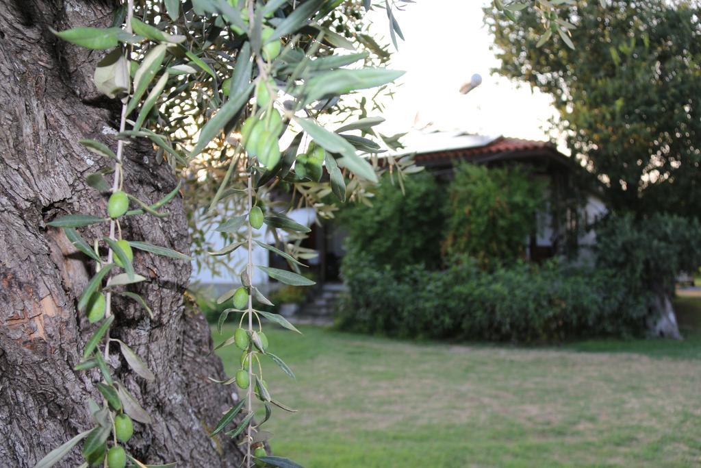 Patroudis House Appartement Skala Rachoni  Buitenkant foto