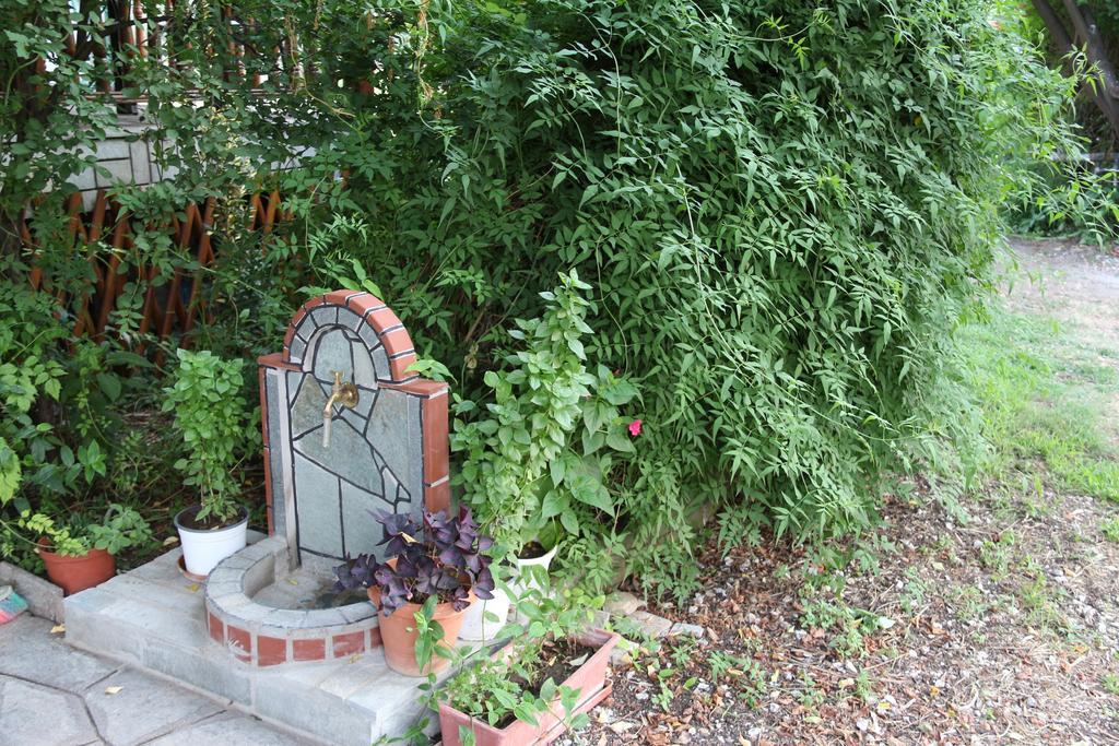 Patroudis House Appartement Skala Rachoni  Buitenkant foto