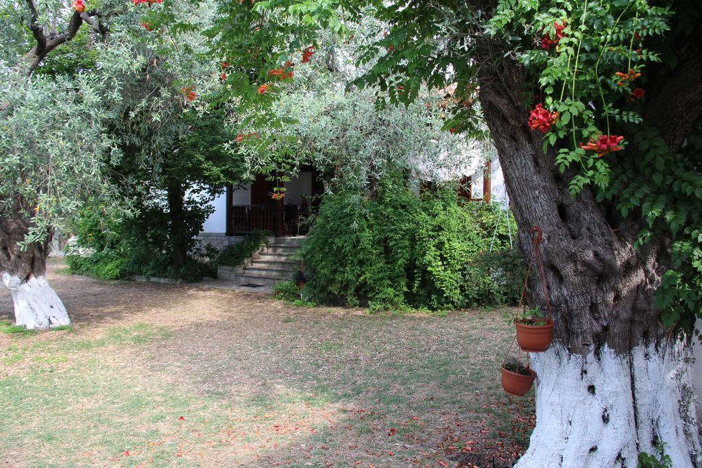 Patroudis House Appartement Skala Rachoni  Kamer foto